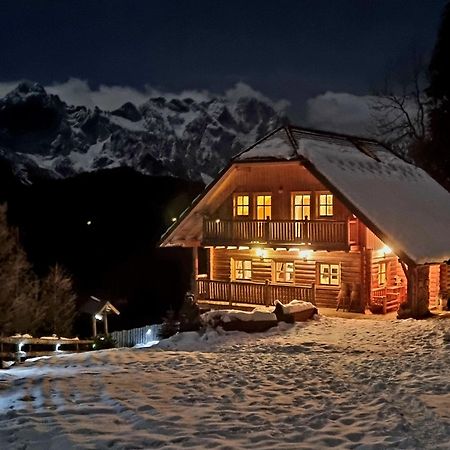 Holiday Chalet "Alpine Dreams" With Private Wellness Solčava Extérieur photo