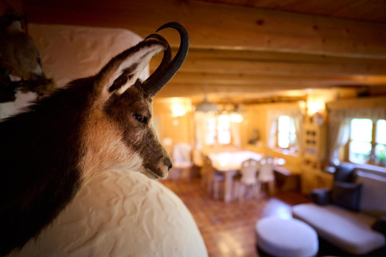 Holiday Chalet "Alpine Dreams" With Private Wellness Solčava Extérieur photo