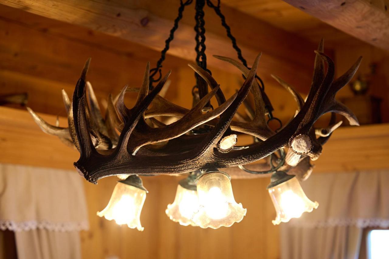 Holiday Chalet "Alpine Dreams" With Private Wellness Solčava Extérieur photo