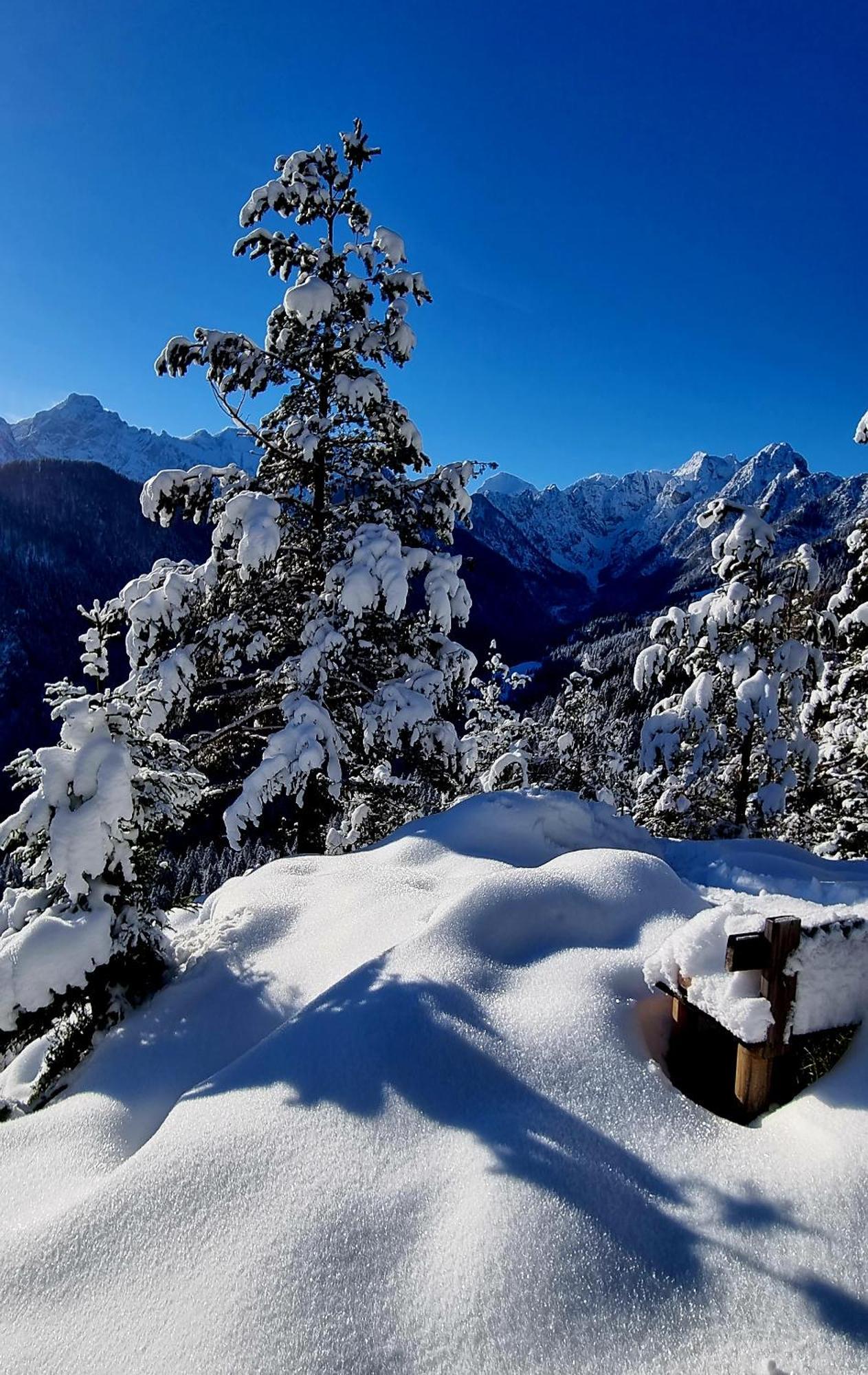 Holiday Chalet "Alpine Dreams" With Private Wellness Solčava Extérieur photo