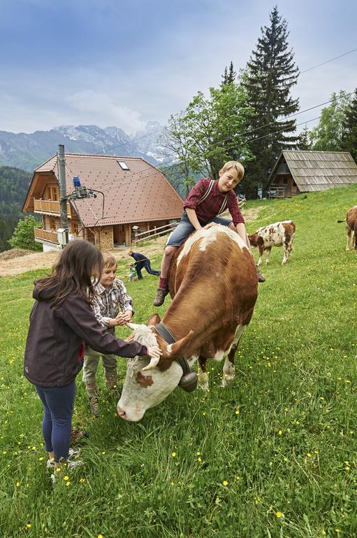 Holiday Chalet "Alpine Dreams" With Private Wellness Solčava Chambre photo
