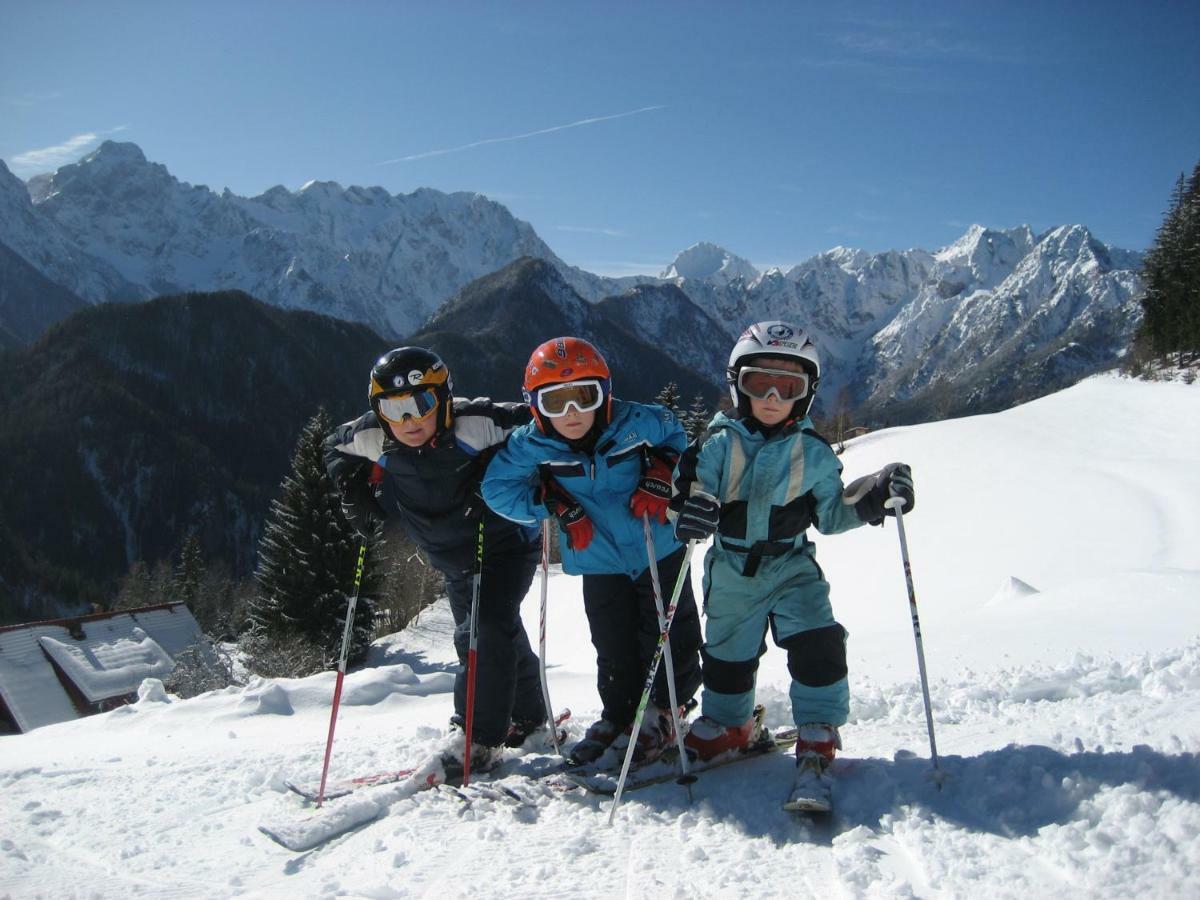 Holiday Chalet "Alpine Dreams" With Private Wellness Solčava Extérieur photo